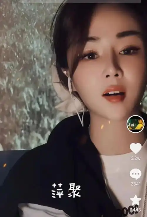 华语女歌手花姐个人资料简介 花姐抖音十大神曲 - 歌词译