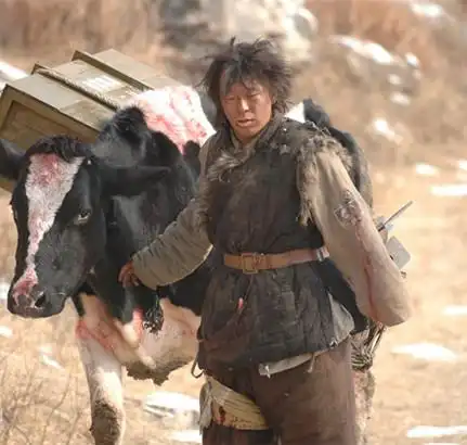 黄渤斗牛影评如何 闫妮客串变主演 全靠演技征服导演_华语片场_电影