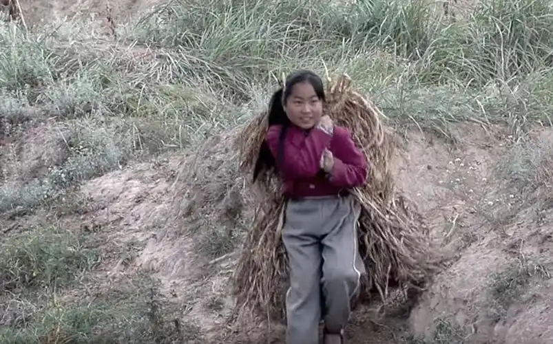 读不起书的农村孩子vs买学历的城市孩子,十年后怎么样了?