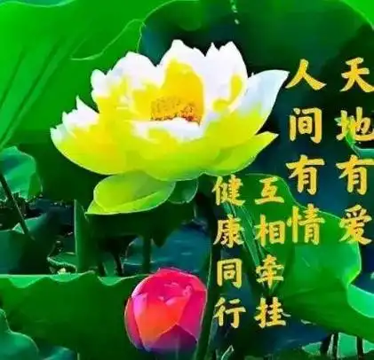 牵挂一个人,是分分秒秒的思念,是日日夜夜的期盼.