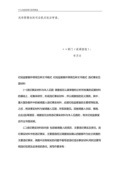 个人向纪检委写说明情况doc5页