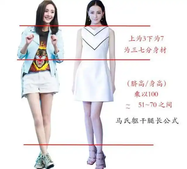 三七分身材比例怎么算