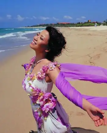 图关锦鹏的妻子是张也吗揭秘二人的关系