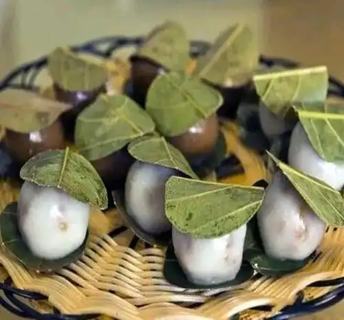 "叶搭饼"也称"树叶饼",是雷州的一种特产.