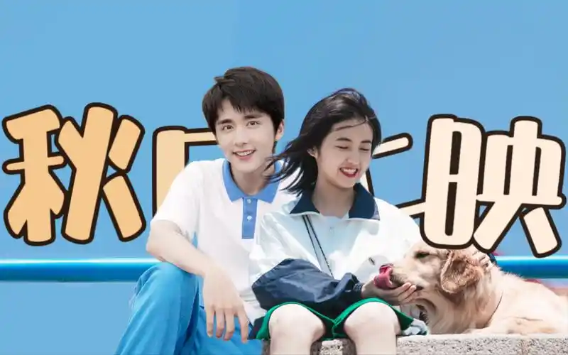 【张新成×张子枫】双箭头的恋爱kswl|校园拉郎|甜向