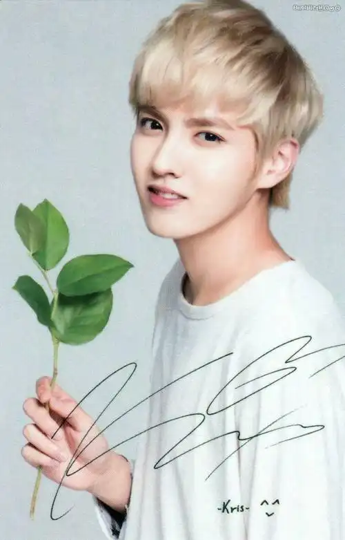 成员吧,,,太小了,看不清,有没有大图                追答 吴亦凡啊