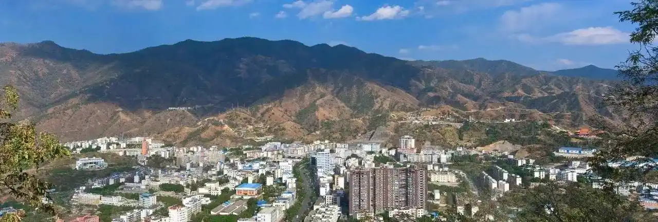 盐边县"一村一品"特色农业发展调查研究