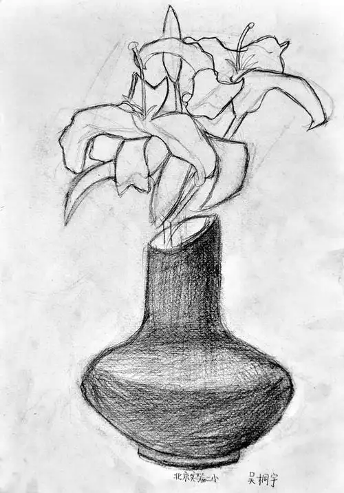 《静物素描4》吴桐宇 12岁