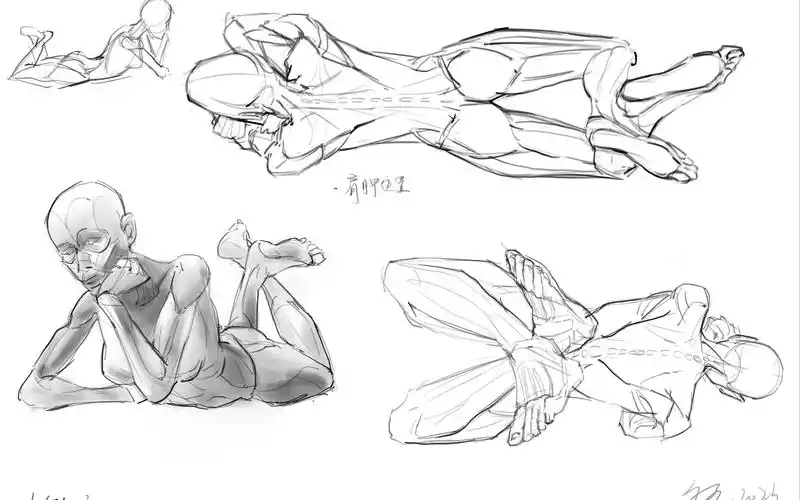 ex13.俯趴解剖速写
