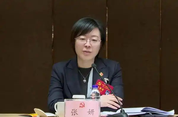 张妍参加莲都区第十五次党代会第一代表团审议