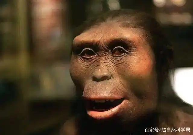 一亿年后的人类会变成什么样?