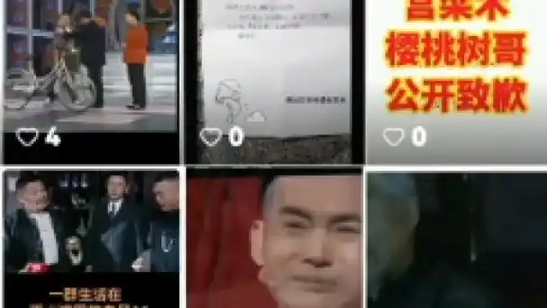 更让人生疑的是,农户后来找到一个名为"天阿凡达"的快手账号(目前已