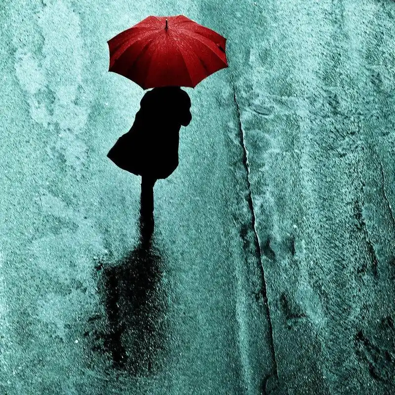 女孩,你消失在大雨中的背影,真美!