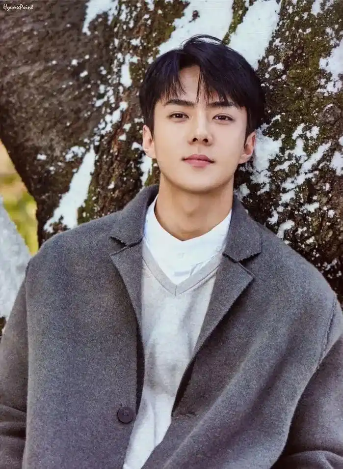 据说长得越帅的人就越帅.#吴世勋 #sehun #男友壁纸 - 抖音