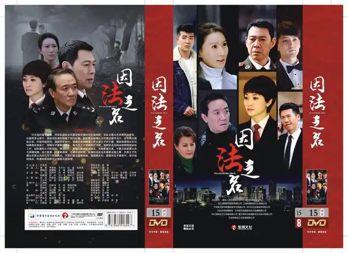 正版电视剧碟片光盘因法之名珍藏版15dvd李幼斌李小冉电视剧