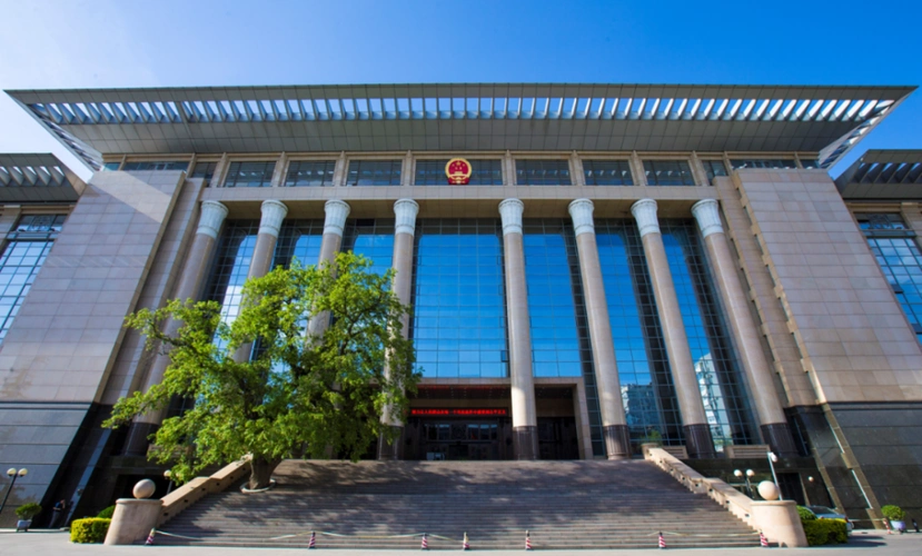 17年过去,每次走进最高人民法院时都会仰望一下那棵高大的皂角树,也曾