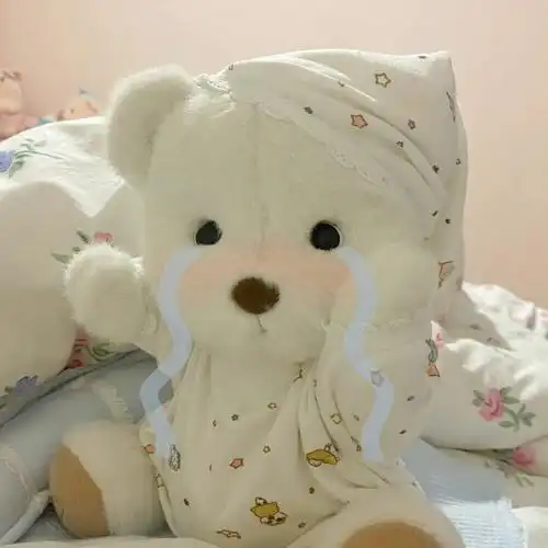 莉娜熊玩偶头像