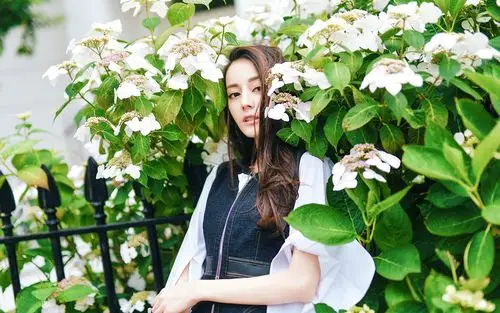 迪丽热巴清新白色花朵写真电脑高清桌面壁纸