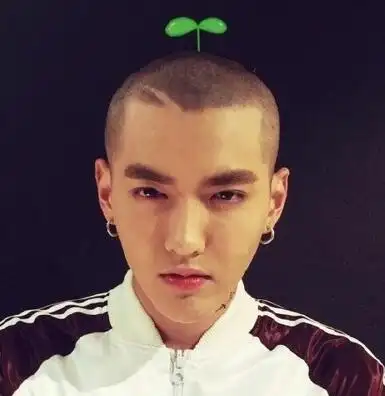 吴亦凡寸头发型合集 帅爆了我的弟