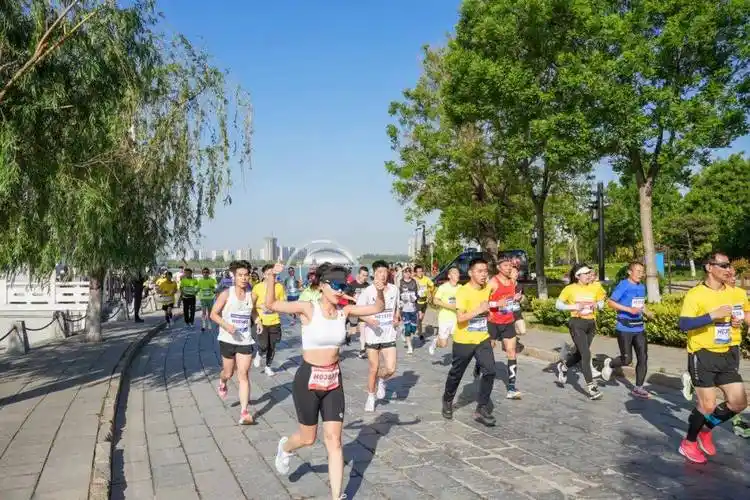 马拉松跑者必看这里有一份伤痛预防指南让你轻松征服赛场