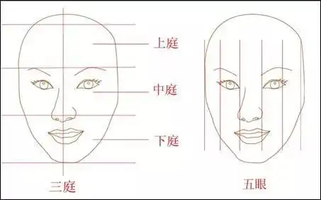 现代流行的审美观点认为标致的脸蛋应该符合三庭五眼的黄金比例.