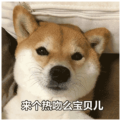 表情| 一些杂图表情包