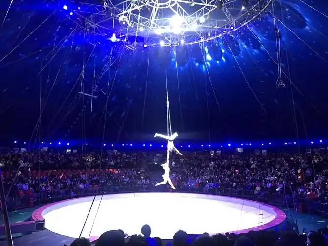 上海 野生动物园俄罗斯大马戏表演