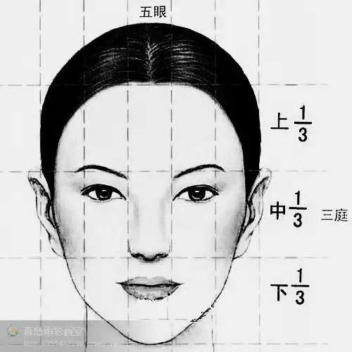 绘画中人的五官比例标准 (青岛美术素描画室 青少年小学中学生美术