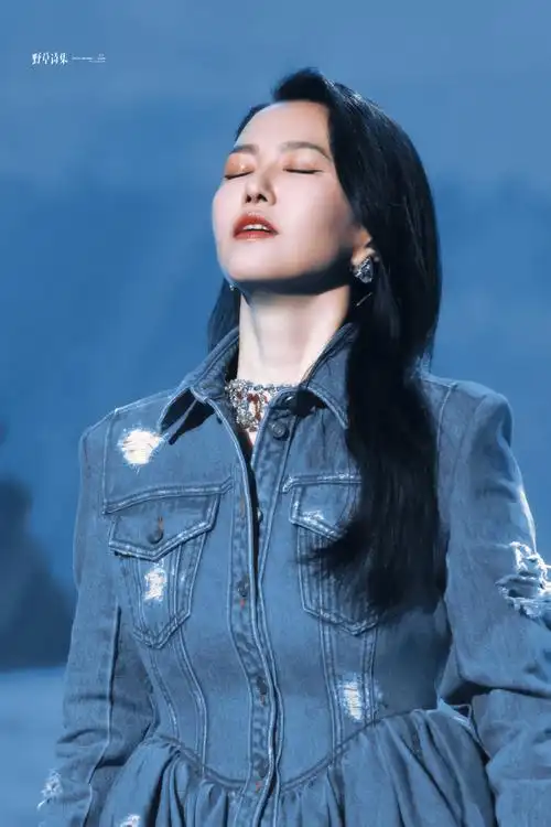 谭维维微博音乐年度优秀歌手