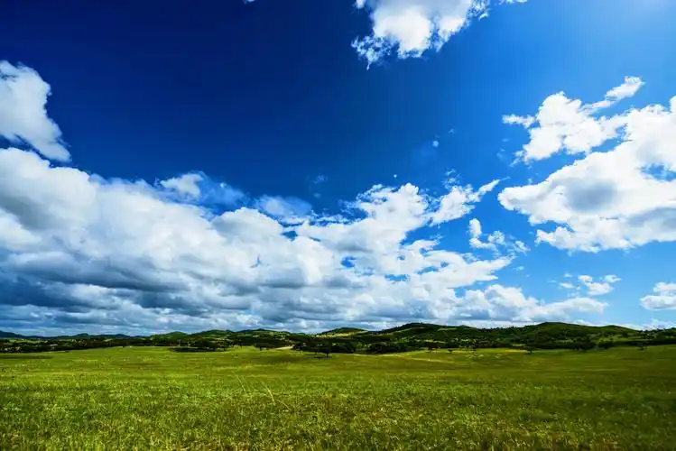 绿草,蓝天,白云,沙丘,是内蒙古大草原的标配!