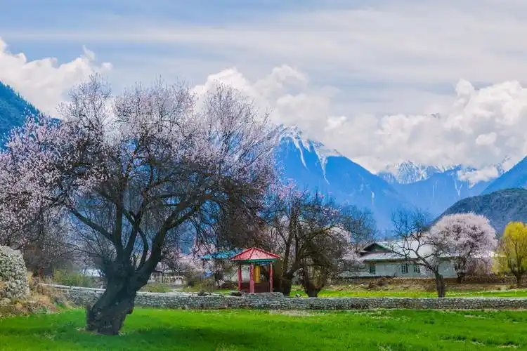 桃花依旧笑春风首发