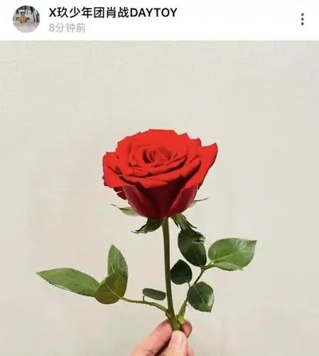 肖战小飞侠双向奔赴太好磕了!肖战绿洲晒玫瑰花回应粉丝应援!