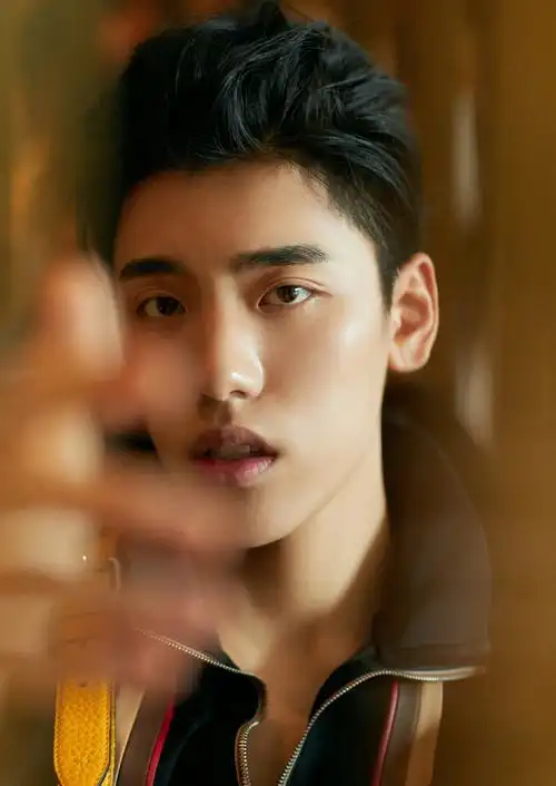 王子异,1996年7月13日出生于山西省,中国内地男歌手,男子演唱组合nine