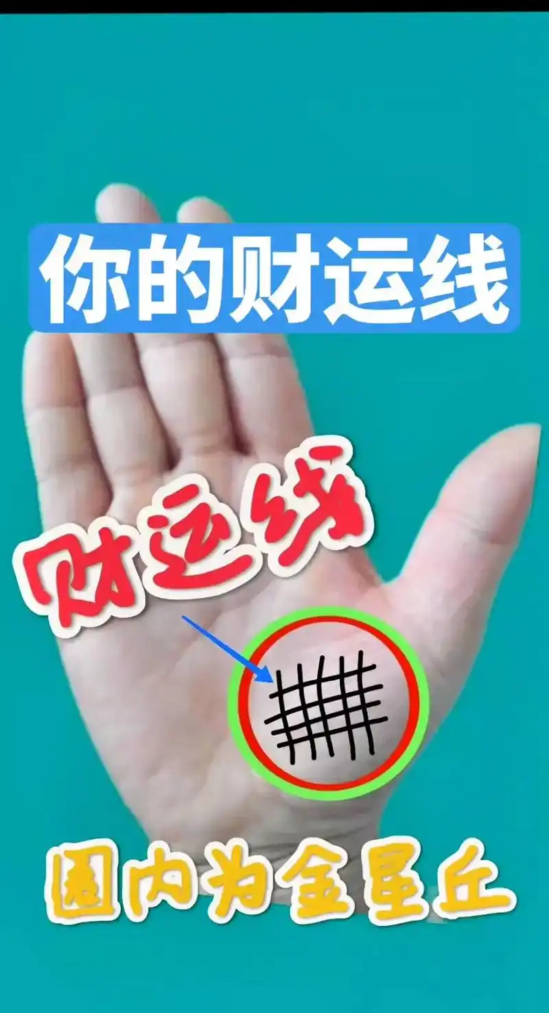 手相金星丘上的财运线!