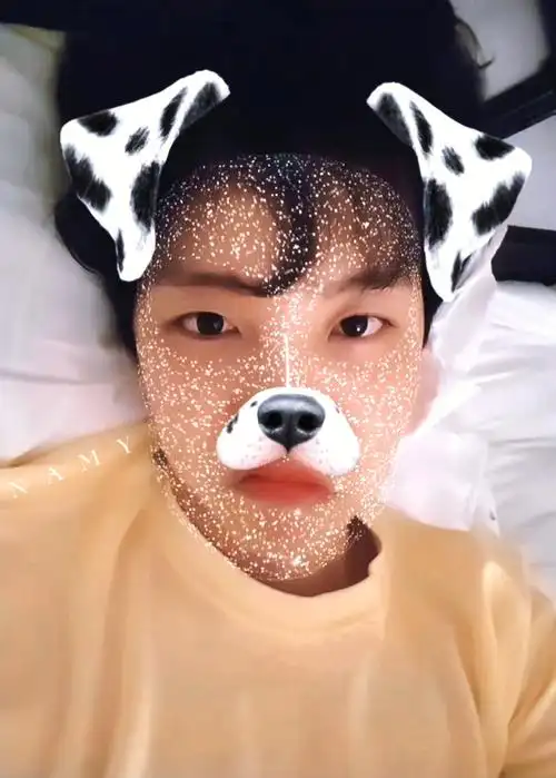 不管啦不管啦 今天小松鼠放一放要做一回狗狗派郑小芙你好软喏#防弹