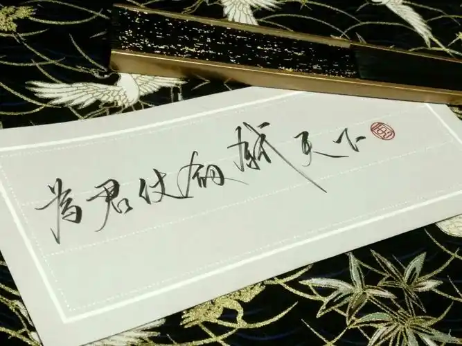 『为君仗剑弑天下』古风手写