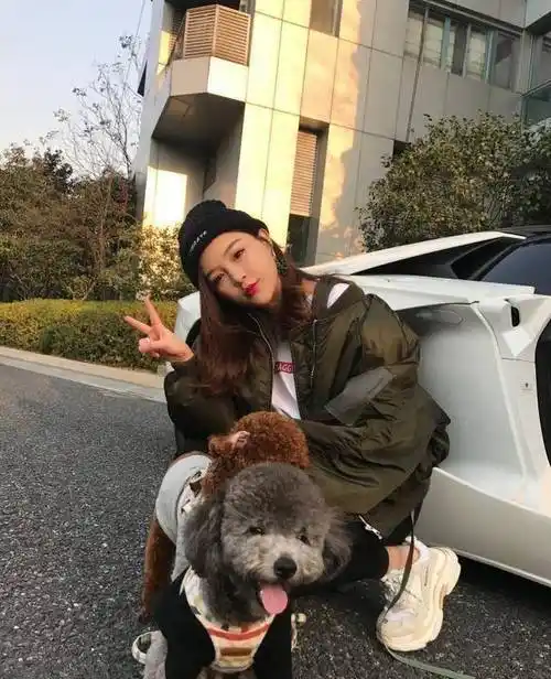 王思聪带柯基坐私人飞机,换女友的同时把宠物也换了?_可可_照片_电视