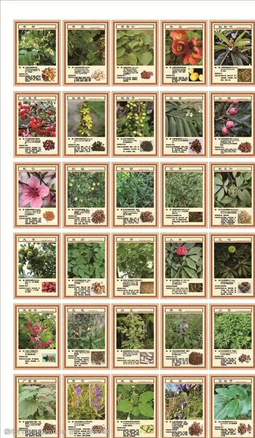 各种中药图片加简介