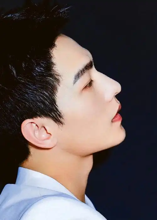 杨洋 这鼻子是人类能拥有的鼻子吗?