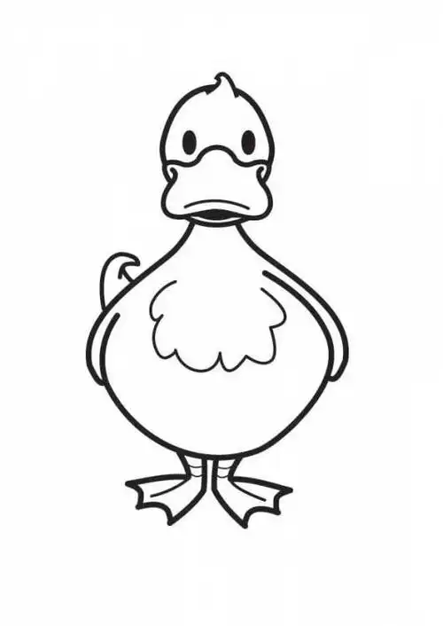 小动物卡通简笔画 小动物卡通简笔画图片