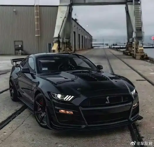 黑化的福特谢尔比福特野马悬挂蛇形车标的是俗称谢尔比眼镜蛇的一款