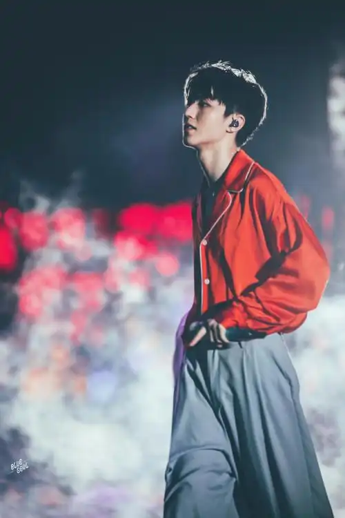 王俊凯站姐好牛