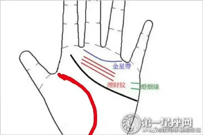手有金星带,不光人美,财也旺,有财有权,还有桃花运