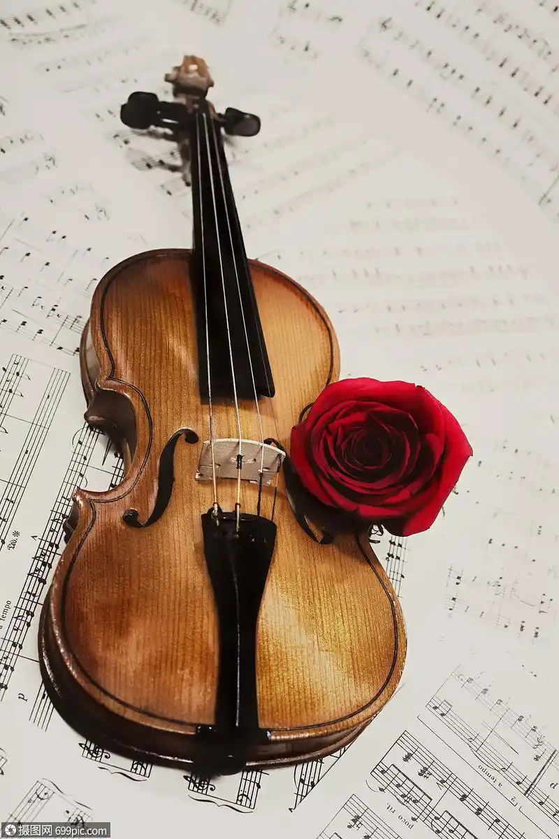 带着音符玫瑰特写的老小提琴弓传统的