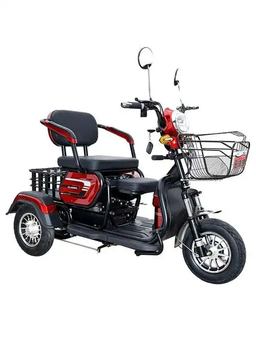 电动三轮车家用电瓶小型带棚中老年人买菜男女接送电动三轮车