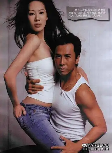 甄子丹有几个老婆,甄子丹的三个老婆都是谁(2)