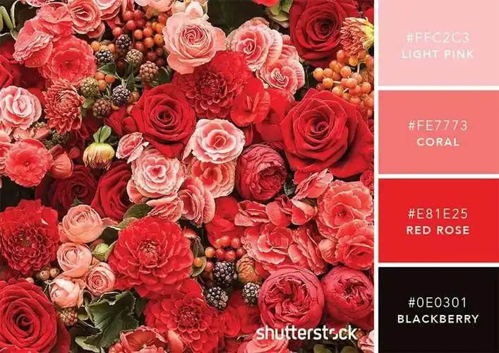 101个方案帮你解决配色难的问题