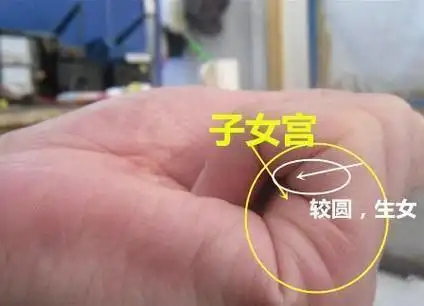 "你是生男还是生女", 看看手上就知道!