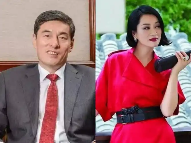 歌星毛阿敏再次登上富人榜,都是沾了老公的光?