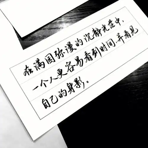 练字文案黑白字体热爱生活